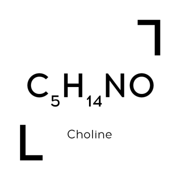 Choline