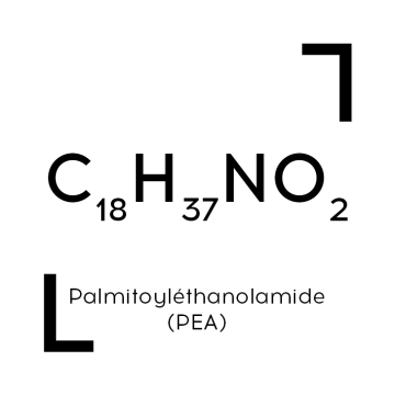 Palmitoyléthanolamide