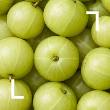 Amla