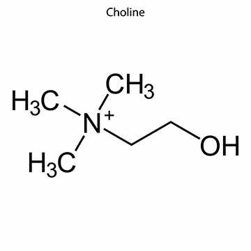 Choline
