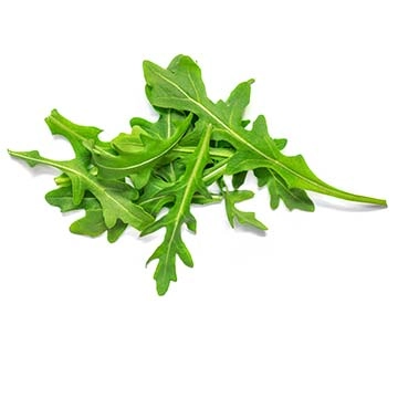 Roquette