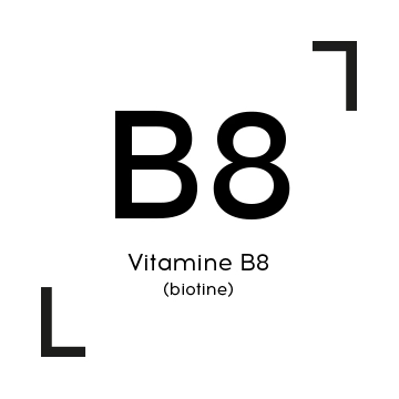 Vitamine B8 (biotine)