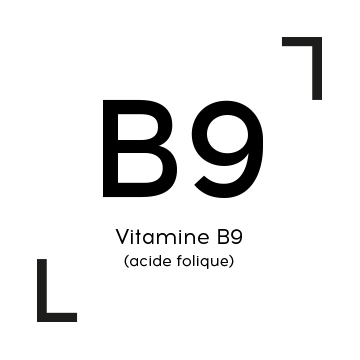 Vitamine B9 (acide folique)
