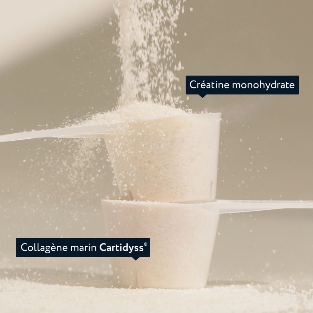 COLLAGÈNE-CRÉATINE