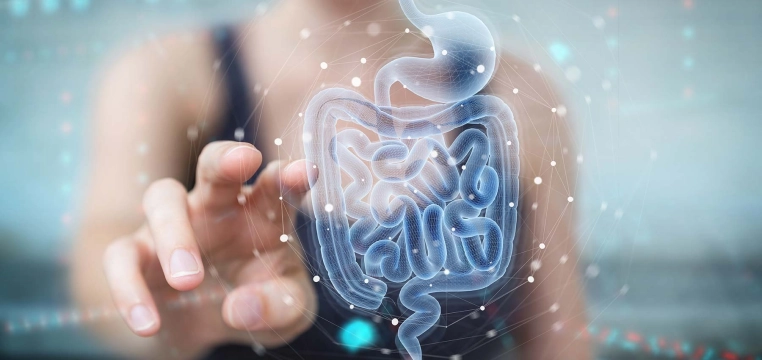 Chercheurs sur le microbiote