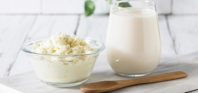 top 10 aliments probiotiques