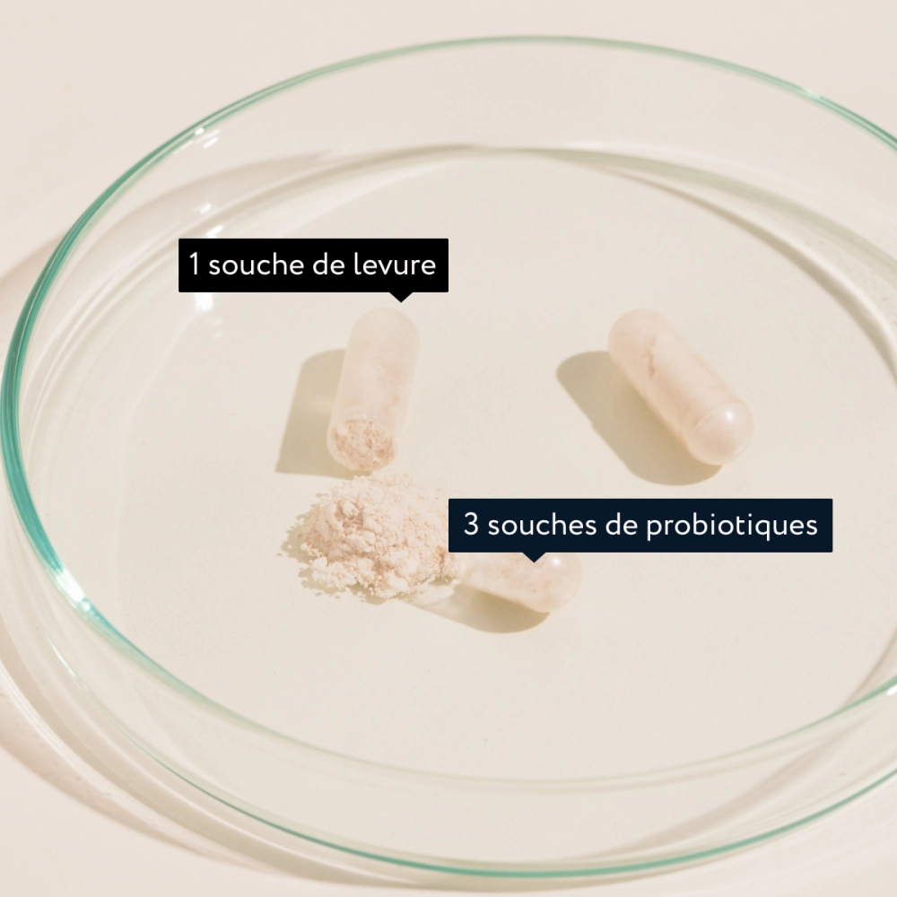 BACTIVIT Équilibre ATB