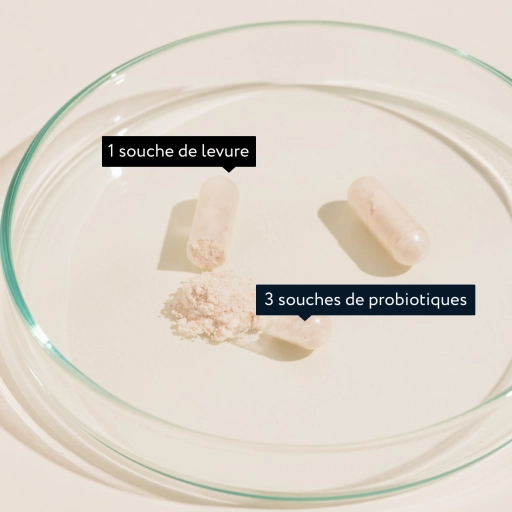 BACTIVIT Équilibre ATB