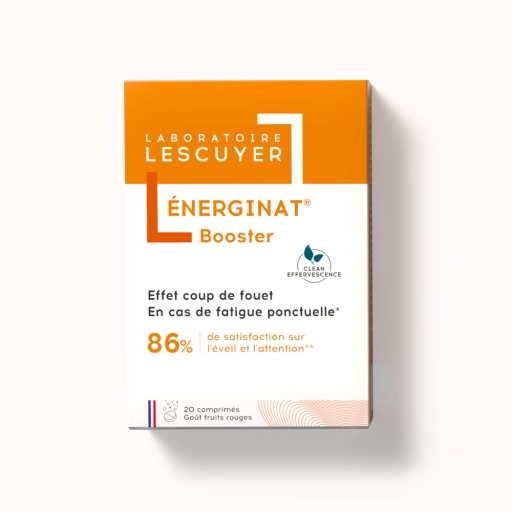 ÉNERGINAT Booster