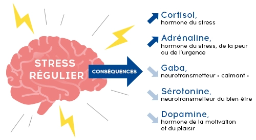 schéma stress conséquences